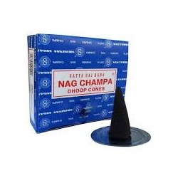 IN.SATYA CONO NAG CHAMPA