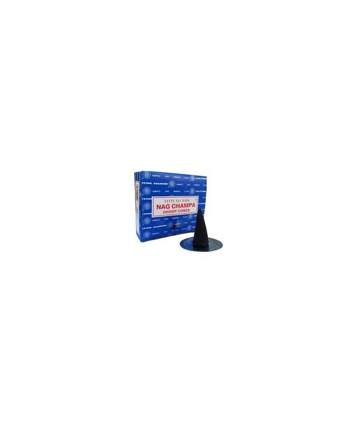 IN.SATYA CONO NAG CHAMPA