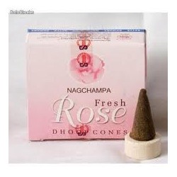 IN.SATYA CONO ROSAS