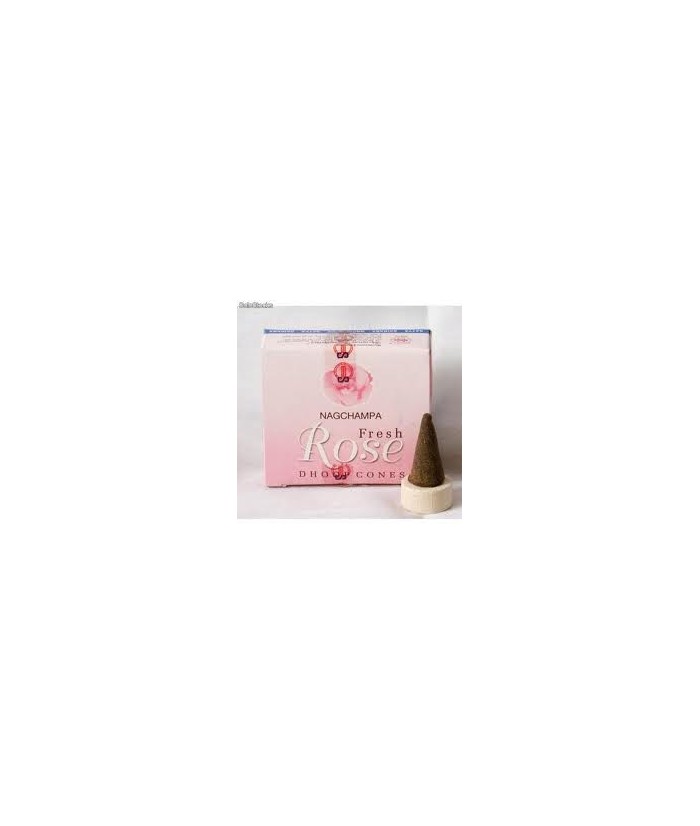 IN.SATYA CONO ROSAS