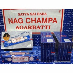 IN.SATYA NAG CHAMPA JARDIN...