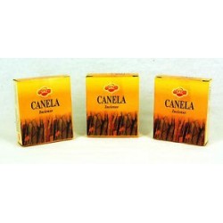 IN.SAC CANELA CONO