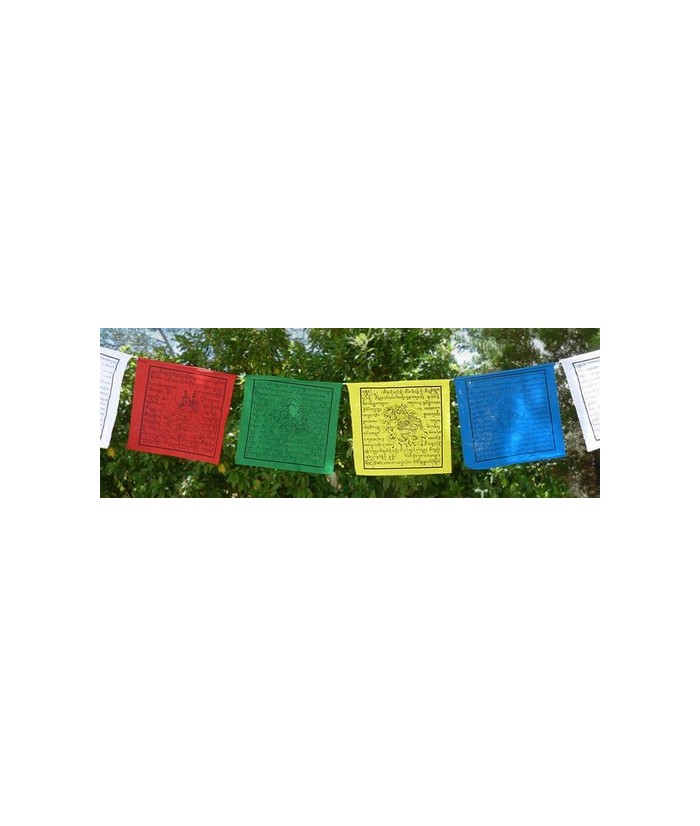 Banderas de oración divinidades 12 x 14 cm - Pequeñas
Llamadas lungta o caballo de viento, se colocan en templos, casas, monta