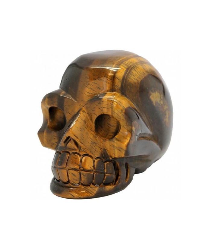 CALAVERA OJO TIGRE 10 X 7,5 CM.