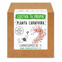 Siente la experiencia de cultivar con nuestro Kit de semillas de planta carnívora drosera. ¡¡ Se alimenta de insectos !!

Var