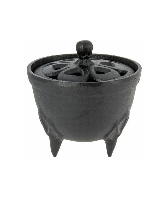 
38,00 
Fabricado por Iwachu en Morioka, Japan.
Incluida marmolina para incensario.

Made in: 
Japan
Características té