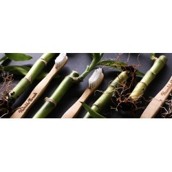 Humble Brush: el cepillo de dientes de bambú más vendido en el mundo para NIÑOS. Humble Brush tiene un mango hecho de bambú 100