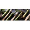Humble Brush: el cepillo de dientes de bambú más vendido en el mundo para NIÑOS. Humble Brush tiene un mango hecho de bambú 100