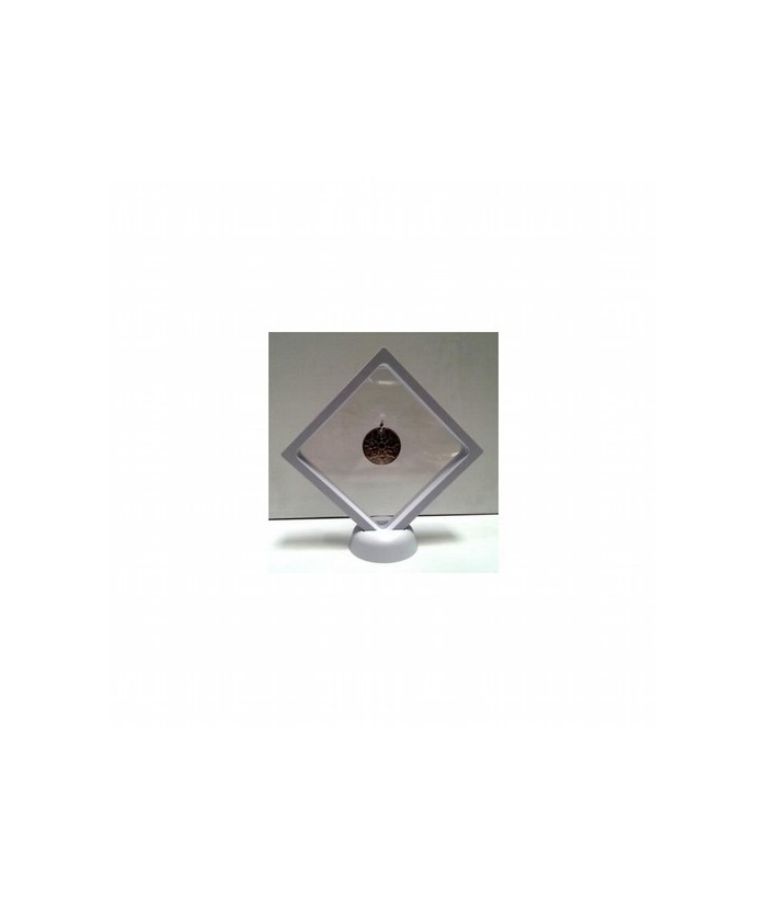 Expositor Vertical Medalla - Minerales 9 x 9 cm