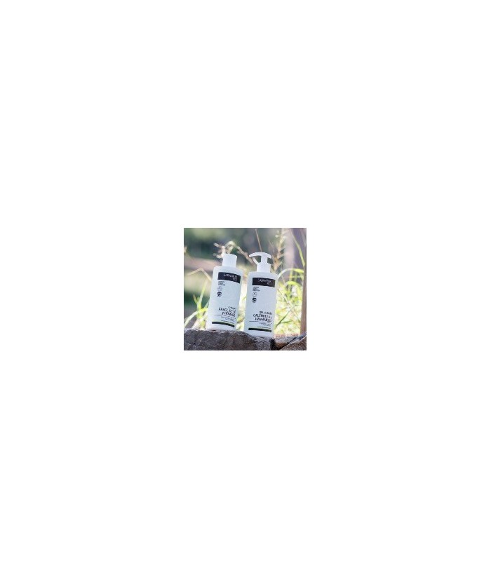 CHAMPÚ ÁRBOL DE TÉ Y ROMERO LABNATUR BIO

El champú Labnatur Bio actúa y ayuda a proteger, cicatrizar y reparar el cuero cabe