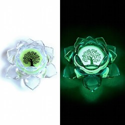 Flor de loto realizada en Cristal y material fosforescente para que brille en la oscuridad.

Medidas: 12 x 5.5 cm.

El cent