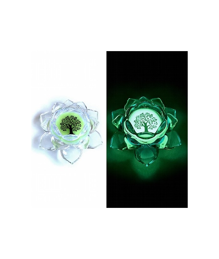 Flor de loto realizada en Cristal y material fosforescente para que brille en la oscuridad.

Medidas: 12 x 5.5 cm.

El cent
