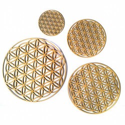 Set de 4 piezas de madera troqueladas con la Flor de la Vida.

Tamaños: 15,5cm, 23cm, 30,5cm y 38cm

Ideal para decorar de 