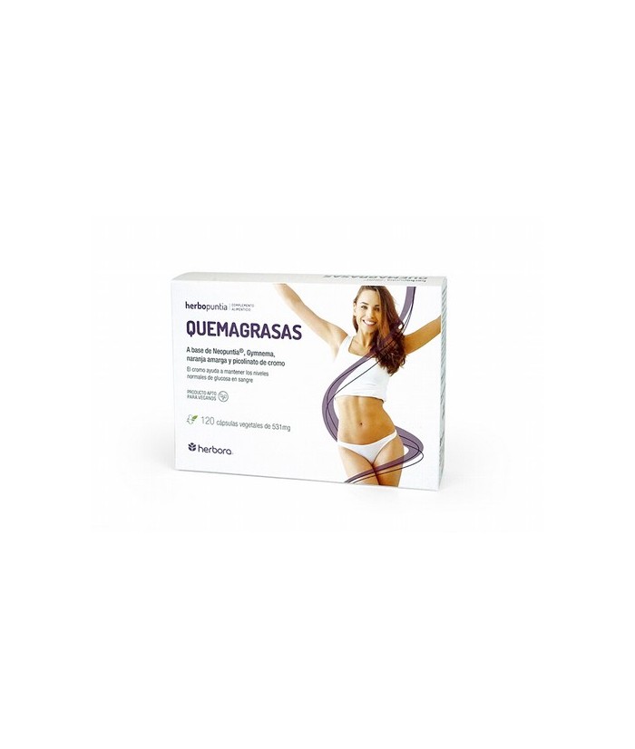 Ingredientes
Por 4 cápsulas:
Neopuntia® (Opuntia ficus-indica (L.) Mill) 600 mg, ES Gymnema (Gymnema sylvestris) 400 mg, ES N