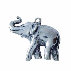 Amuleto Plata Elefante 1.3 x 1.3 cm
Ref.: AMPELP