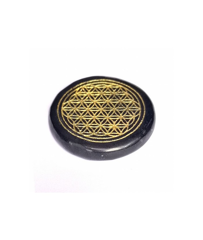 rodado plano para chakras de Shungita.
Medida: Ø30mm y 6mm de grosor