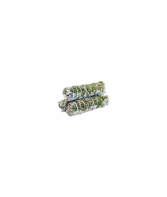 Utilizada en hechizos de sanación, protección, limpieza áurica y abundancia, la salvia tiene un alto poder mágico.
Por su pod