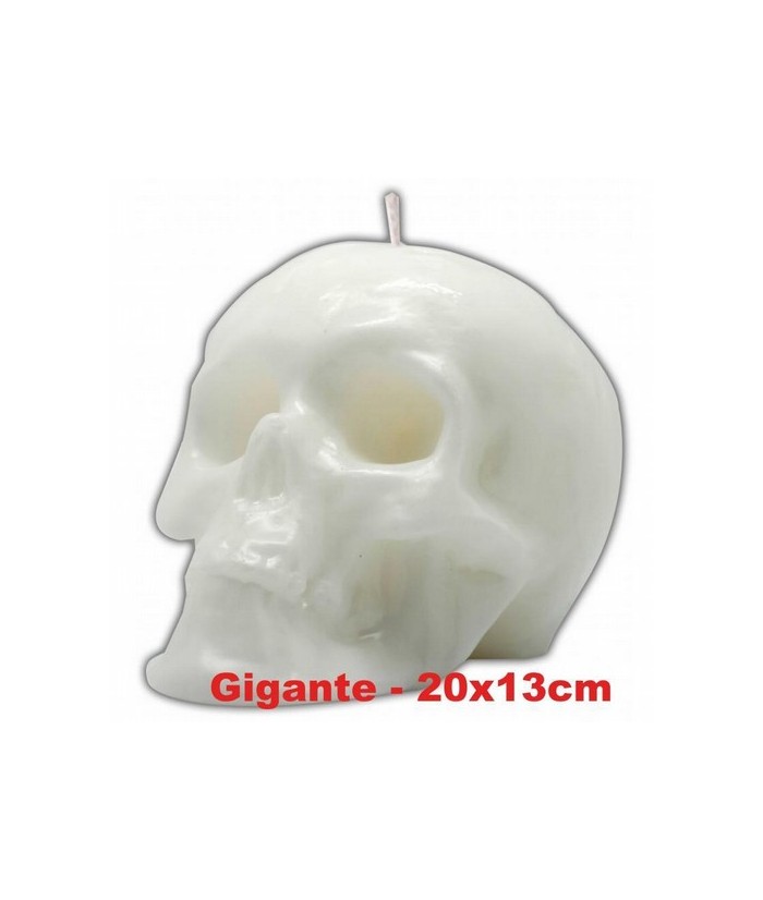 VELA FORMA Craneo Gigante 13 cm (Blanco)
Ref.: VFCRAGB