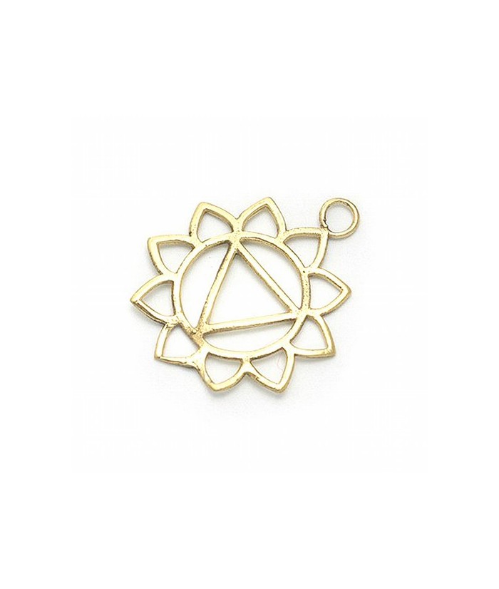 Colgante simbología de los chakras.

Material: Bisutería.

Medida: Ø 3 cm.