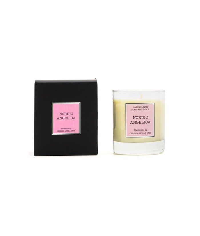 CM.VELA VASO SOJA NORDIC ANGELICA 230 GR.