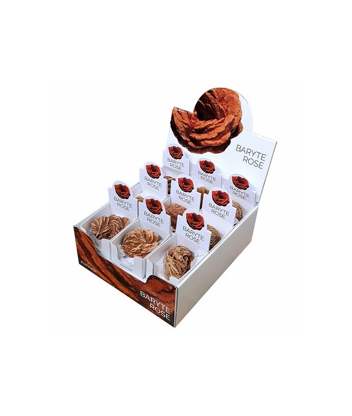 ROSA DESIERTO CAJITA EXPOSITORA (65x75 mm)

PRECIO UNIDAD