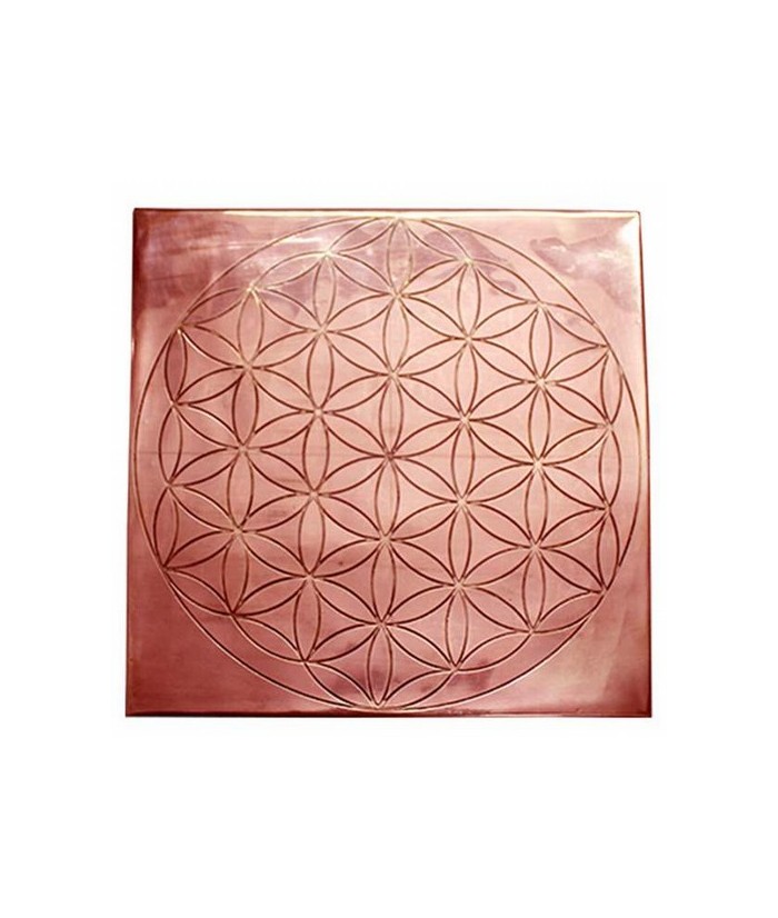 Cargador de cobre para Minerales. Flor de la Vida grabada.

Utiliza este soporte de cobre para cargador las puntas de cuarzo 