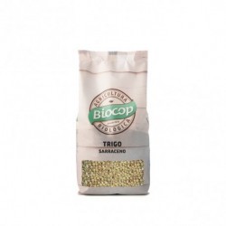 El trigo sarraceno es una semilla rica en proteína, vitaminas B, minerales (potasio, magnesio y hierro) y en rutina, bioflavono