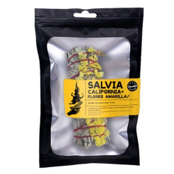 TRI.SALVIA CALIFONIA +...