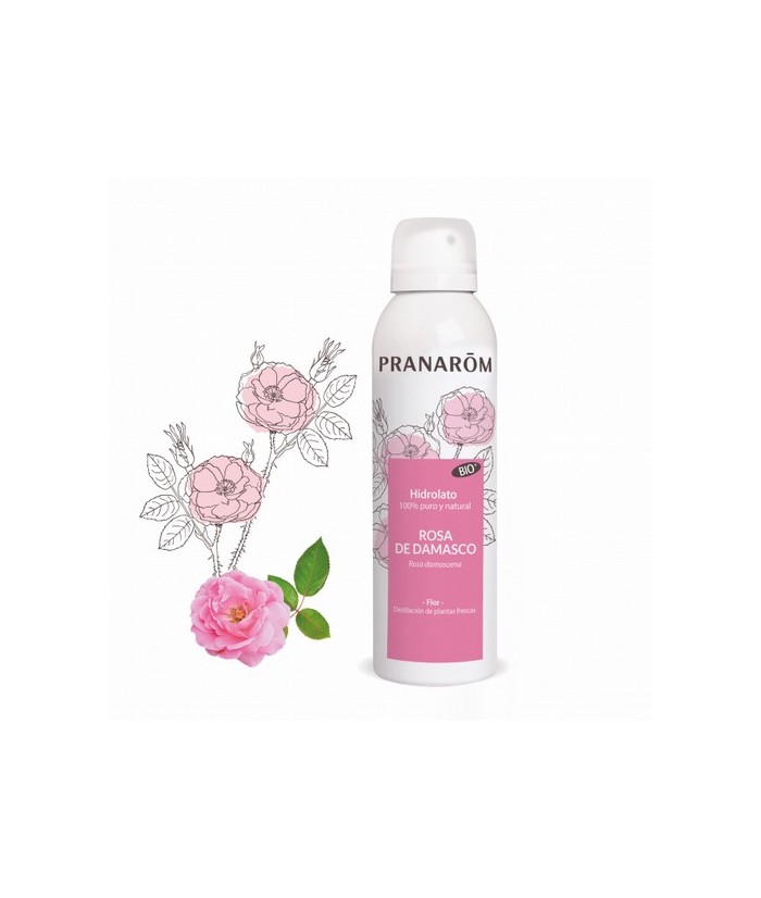 Rosa damascena - Destilación de plantas frescas
El hidrolato de rosa de Damasco es ideal :
En el cuidado de la piel: este hid
