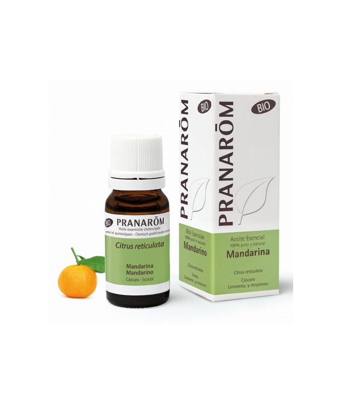 Citrus reticulata
Este pequeño árbol de hojas resistentes y brillantes presenta flores blancas perfumadas y un fruto naranja. 