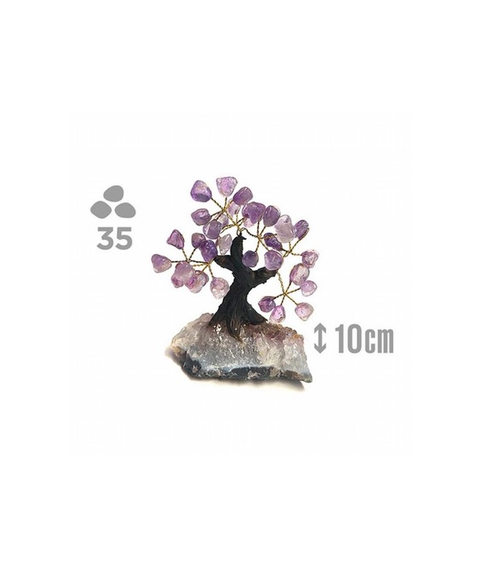 Árbol compuesto de 35 piedras de Amatista (de 1cm aprox).

Base de drusa de Amatista.

Medida: 10cm de alto aprox.
