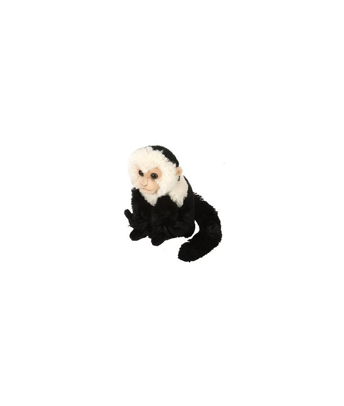 Añade un toque de aventura tropical a tu tiempo de juego con el Cuddlekins Mini Capuchino de Wild Republic. Diseñado para imita