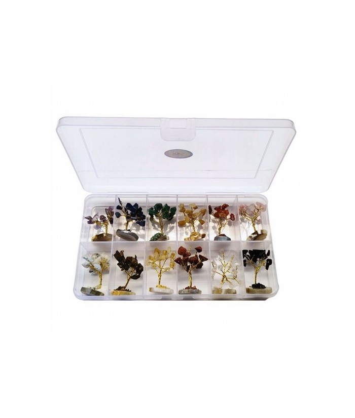 Árboles mini surtidos compuestos de 15 piedrecitas chip (aprox.). La caja incluye 12 árboles mini de 3 cm aprox. de diferentes 