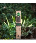 Incienso de Romero, Ruda y Ol&iacute;bano Natural
Categor&iacute;a: L&iacute;nea de Inciensos Naturales
Hecho a mano
Hecho con romero, ruda y res