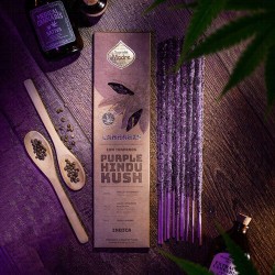 Incienso Purple Hindu Kush
Categoría: Linea Inciensos Grow Cannabis
 Incienso artesanal hecho a mano

 6 varillas de biomas