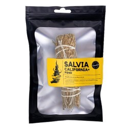 TRI.SALVIA CALIFORNIA PINO...