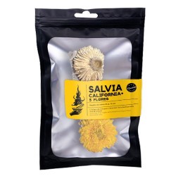TRI.SALVIA CALIFORNIA 3...