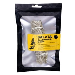 TRI.SALVIA CALIFORNIA...