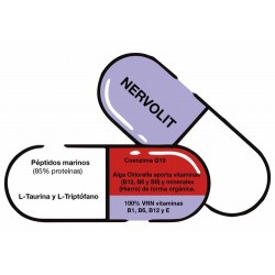 BI.NERVOLIT 45 CAPS.