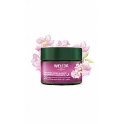 nformación del Producto
Crema de Noche de Rosa Mosqueta y Té Blanco, una fórmula 100% natural, regeneradora y nutritiva que re