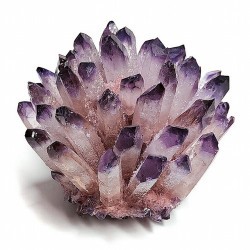 Flor Punta Amatista.

Medidas: 7-8 cm aprox.

Peso: 100-150 gramos aprox.

PRECIO POR UNIDAD