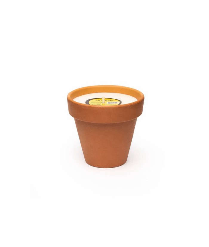 CM.VELA MACETA CITRONELA PEQUEÑA 260 GR.