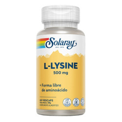 L-Lysine 500 mg- 60 Vegcaps. Sin gluten. Apto para veganos
Contenido medio (por VegCap)
L-lisina HCI (forma libre de aminoáci