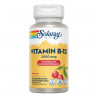 Vitamin B-12 2000 mcg - Sin Azúcar - 90 lozenges. Sin gluten. Apto para veganos.
Contenido medio (por lozenge)
Vitamina B12 (