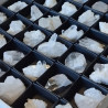 Drusa de Cristal de Roca en caja de 4x4cm.
Tamaño de las piezas: 3-4 cm aprox.