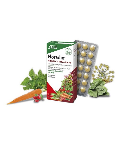 Floradix
HIERRO Y VITAMINAS
Hierro y vitaminas con extractos de plantas y ácido fólico
Floradix contiene hierro orgánico de 