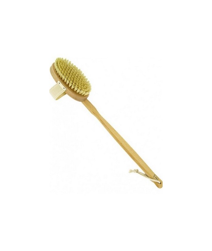 Cepillo corporal de madera de haya proporciona una exfoliación suave  profunda y favorece la circulación.

Ayuda a eliminar l