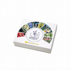 NP.KIT BACH 38 ESENCIAS+2...