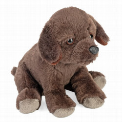¡Bienvenido al mundo ecológico de los abrazos con el Labrador Chocolate Eco de Pocketkins de Wild Republic! Este adorable peluc