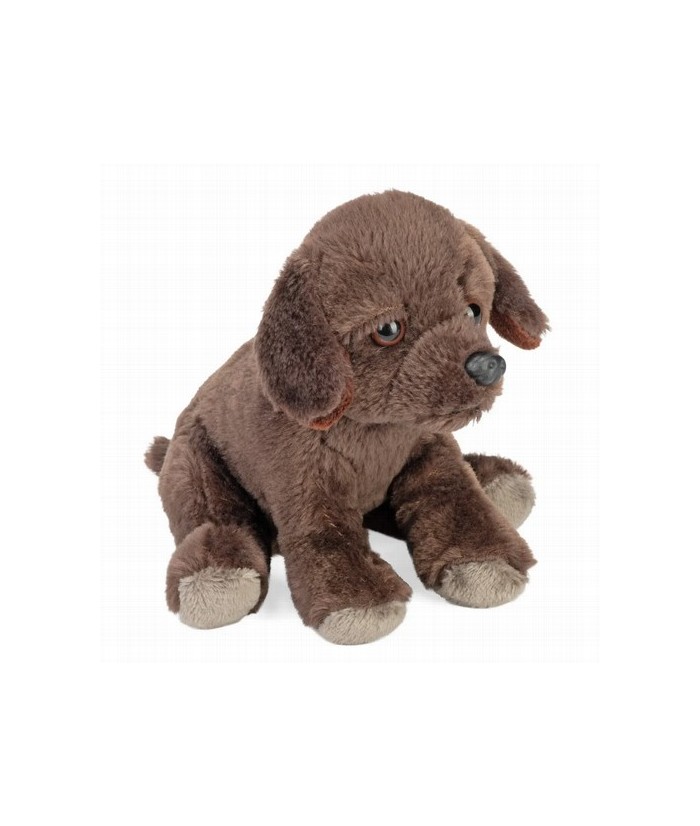 ¡Bienvenido al mundo ecológico de los abrazos con el Labrador Chocolate Eco de Pocketkins de Wild Republic! Este adorable peluc